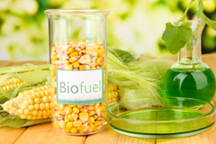 Building End biofuel availability